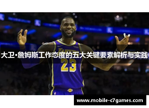 大卫·詹姆斯工作态度的五大关键要素解析与实践