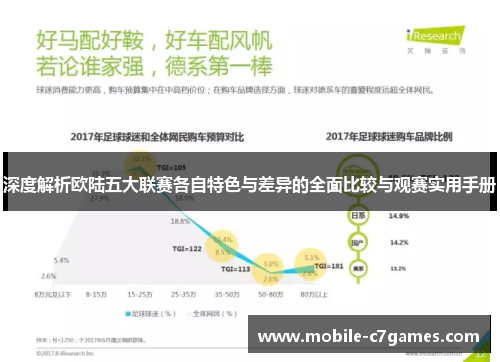 深度解析欧陆五大联赛各自特色与差异的全面比较与观赛实用手册