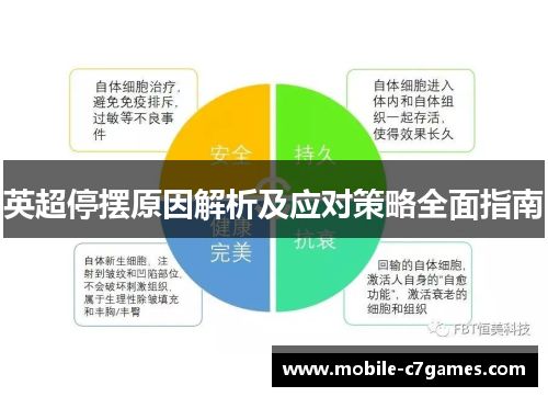 英超停摆原因解析及应对策略全面指南